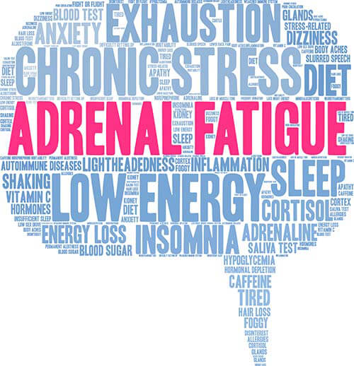 Adrenal Fatigue—Stress in the 21st Century