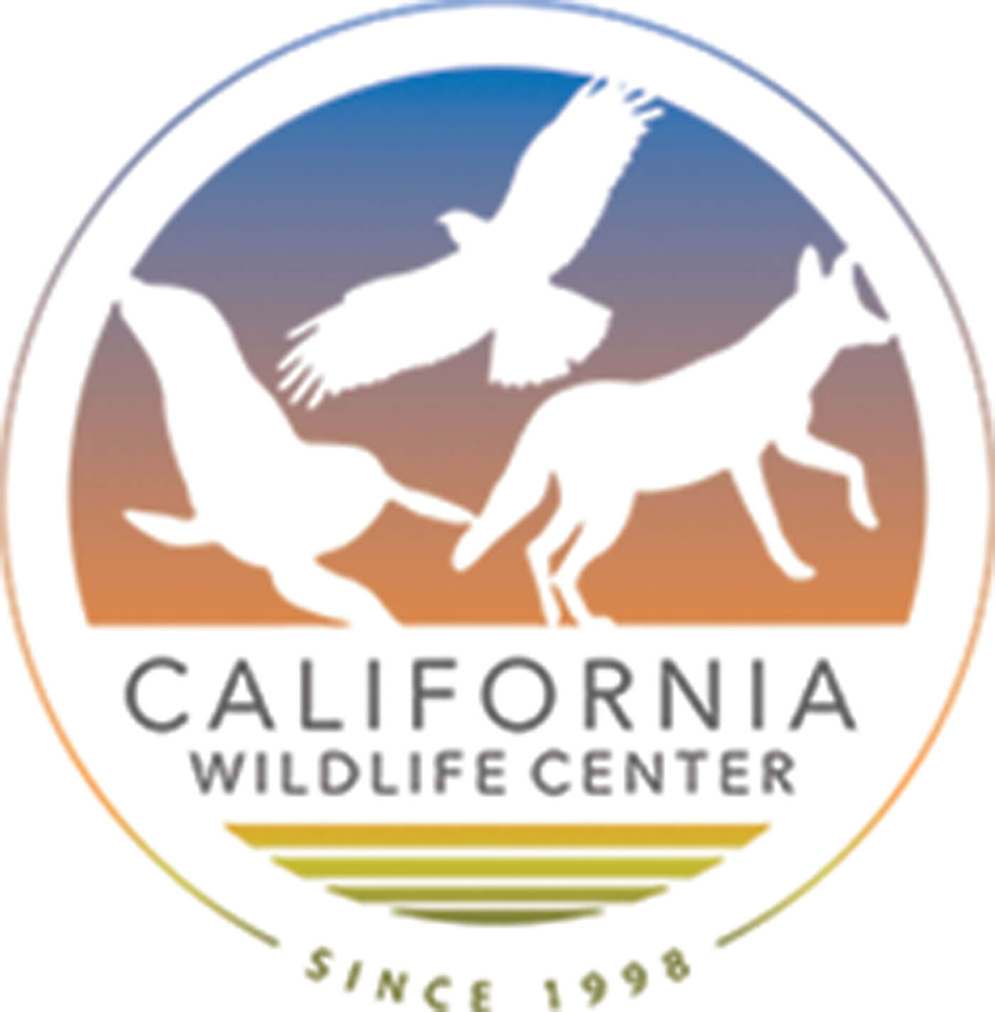 California Wildlife Center Turned 25 this Year