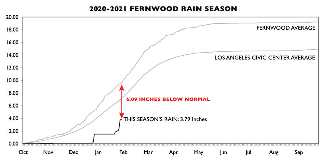 Fernwood Rain Report