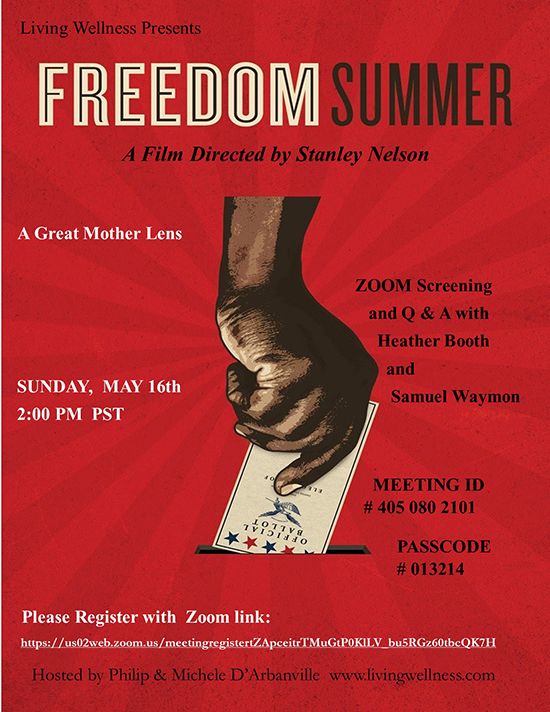 Freedom Summer