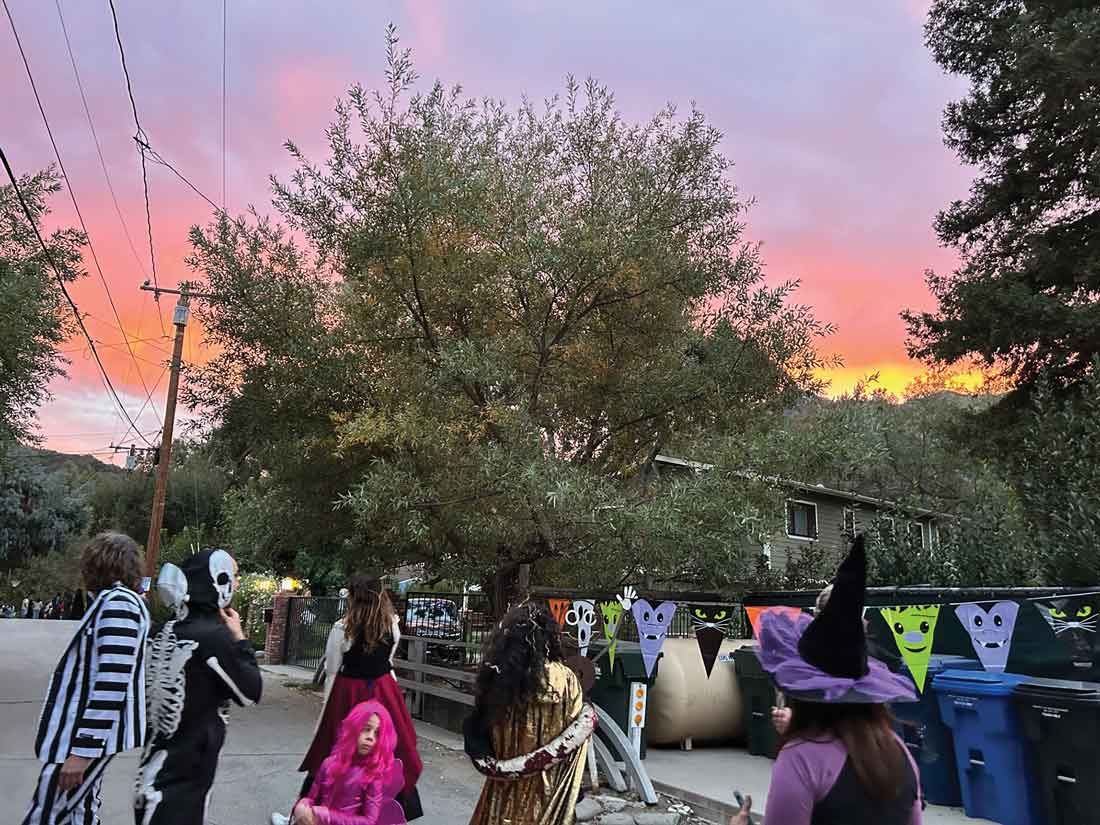 Halloween on Bonnell Drive