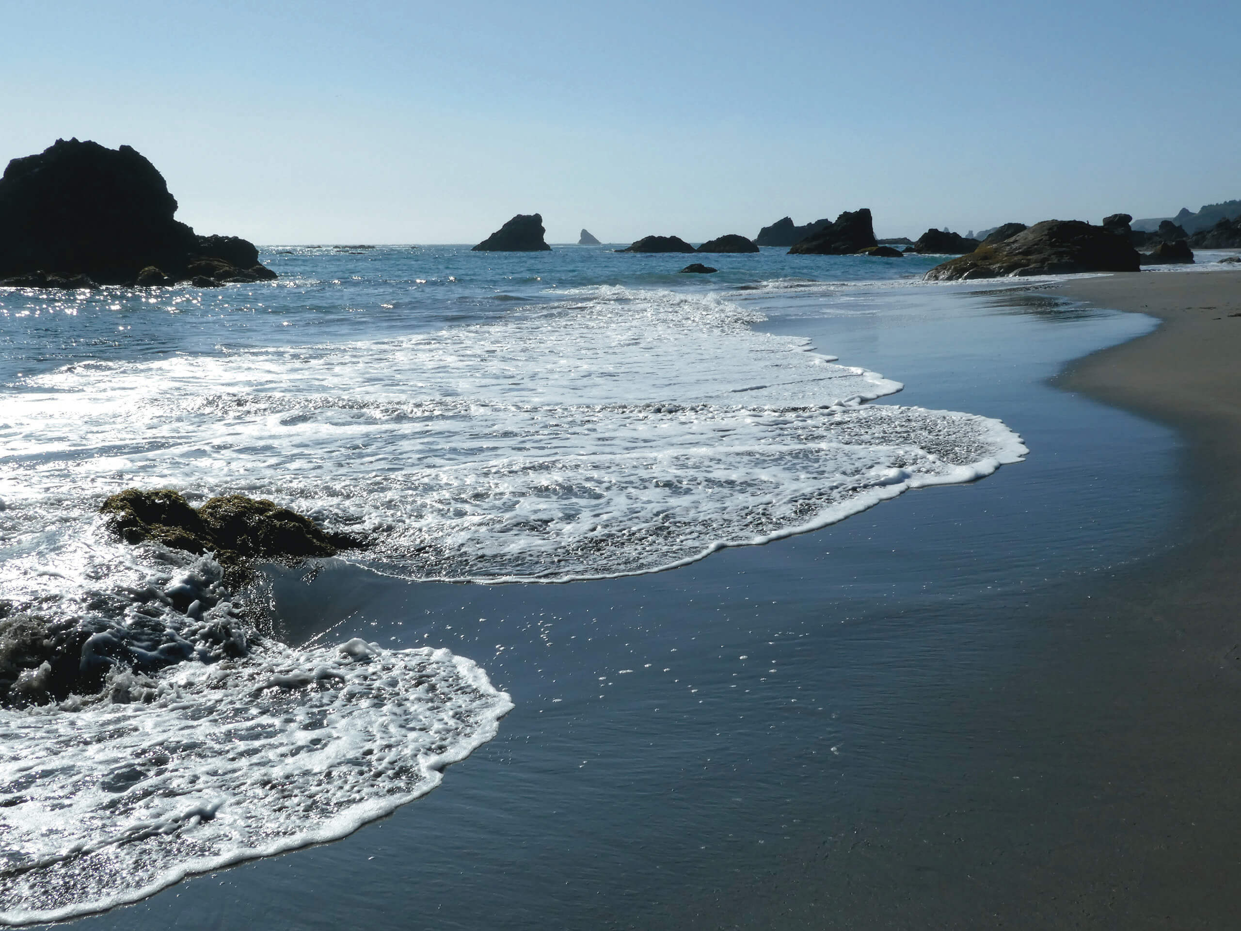 Harris Beach Park is one of the few swimable sandy beaches with facilities in the area.