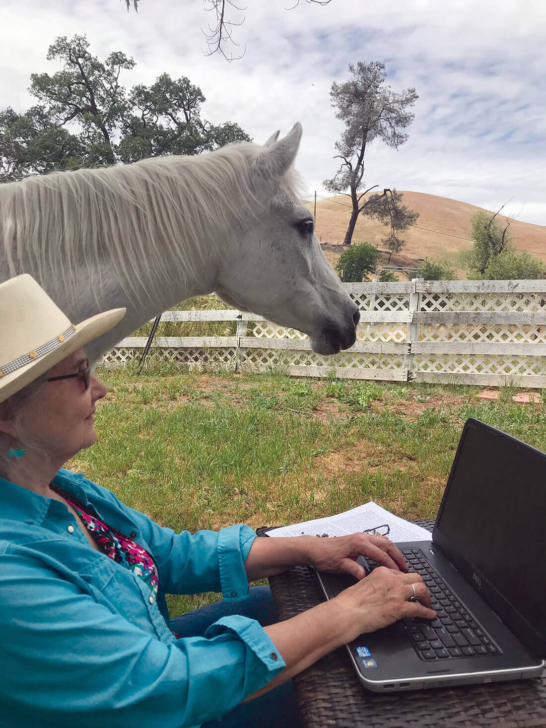 ‘From the Heart of a Horsewoman’ by Lynnea Paxton-Honn