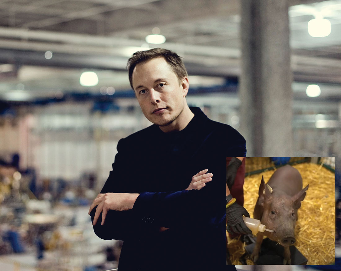 Man, Machine and Musk