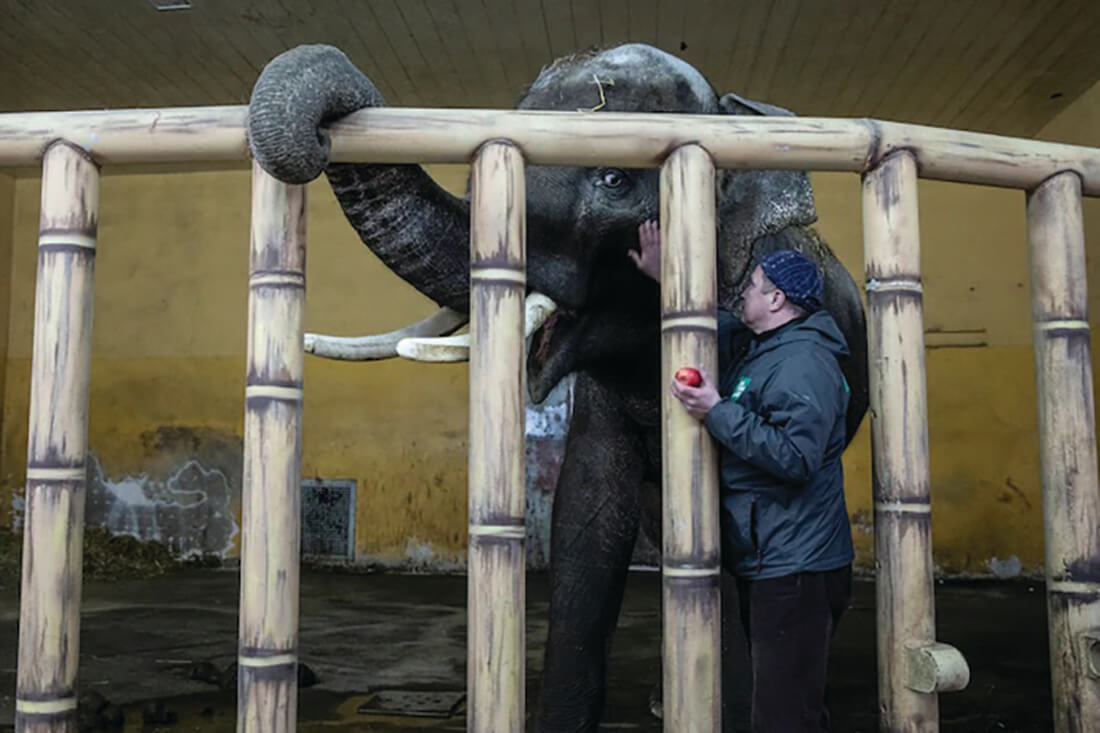 Putin’s Helpless Victims at Kiev Zoos