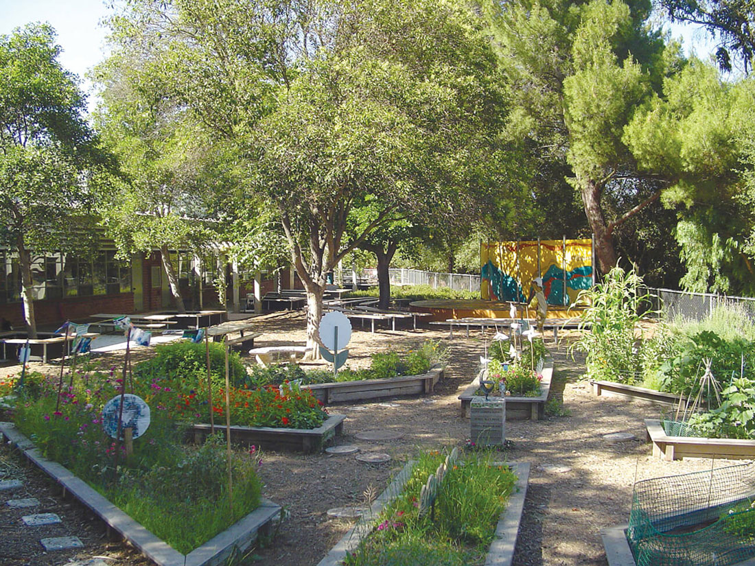 Rebirth of the Topanga Elementary Garden!