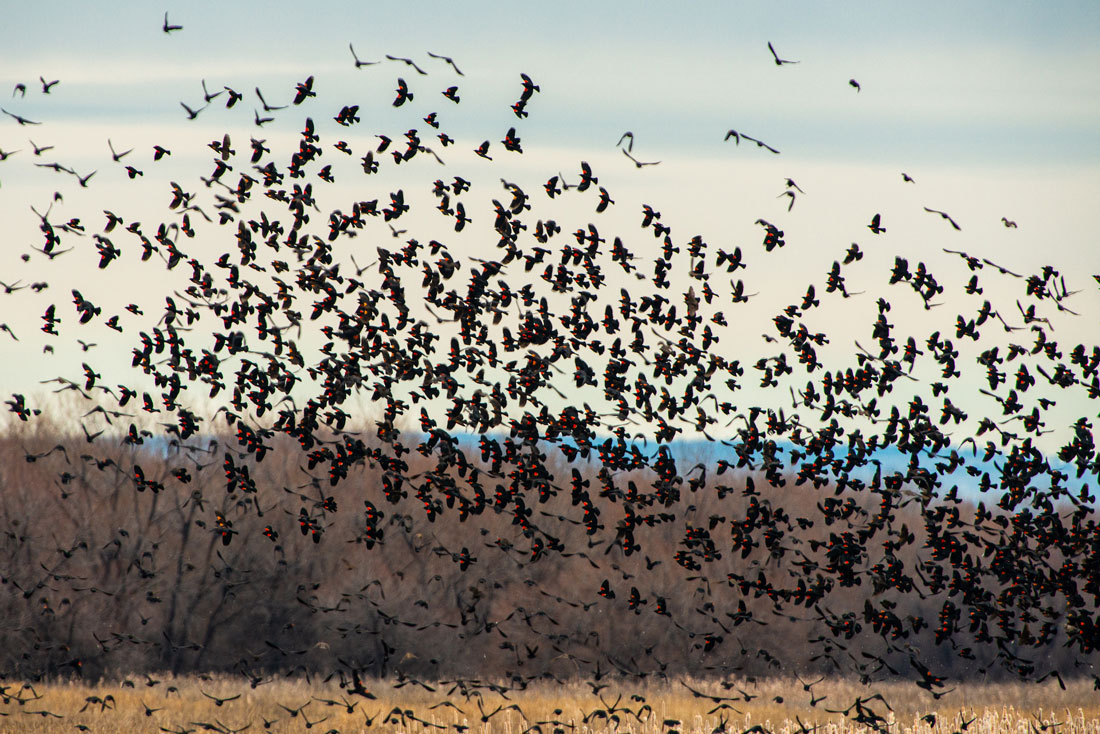 -Tule Lake, California-
